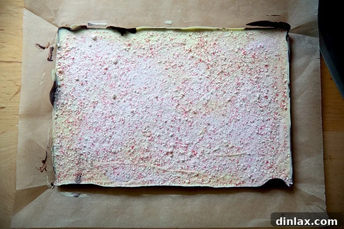 Simple 4-Ingredient Peppermint Bark 16 A full sheet of uncut peppermint bark on a sheet of parchment paper.