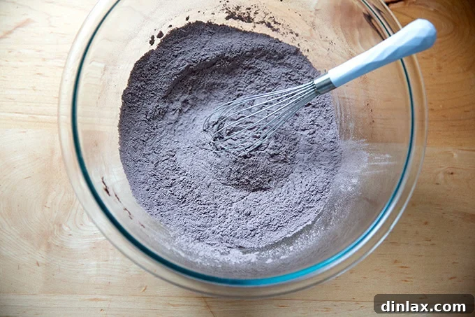 Whisked together dry ingredients: flour, cocoa, salt, and baking powder, appearing smooth.