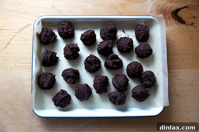 Portioned chocolate crinkle cookie dough balls neatly arranged on a small tray.
