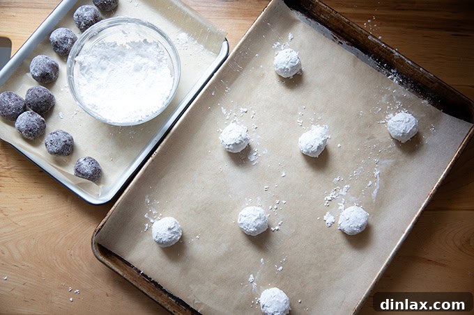 Chocolate crinkle cookie dough balls, now coated in confectioners' sugar, placed on a parchment-lined sheet pan.