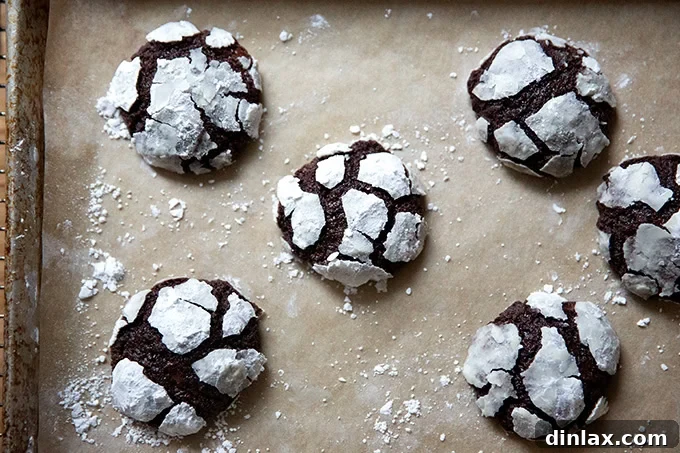 Close-up of just-baked chocolate crinkle cookies on a sheet pan, highlighting the dramatic crinkled surfaces.