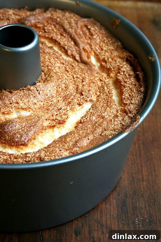 Freshly baked angel food cake, golden brown and risen high