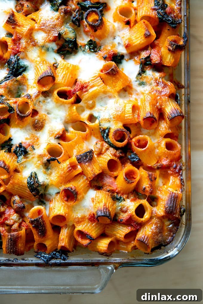 Effortless Baked Pasta: Make It, Share It, Freeze It 2 Freshly baked pasta, golden and bubbly, straight from the oven.
