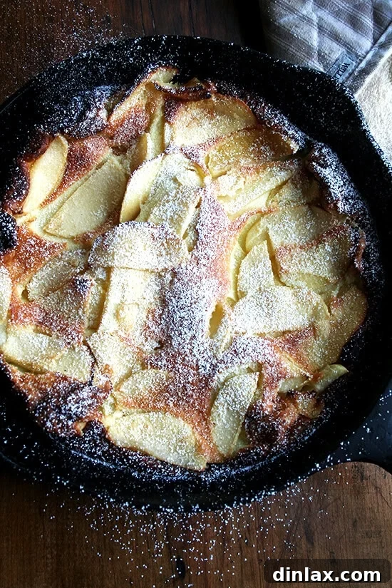 This apple pancake is one of the most fun recipes to prepare as it comes together in just minutes, puffs dramatically in the oven, and feeds four comfortably (so long as you provide some bacon or sausage on the side.) // alexandracooks.com Apple Dutch baby just baked, golden and puffed beautifully.