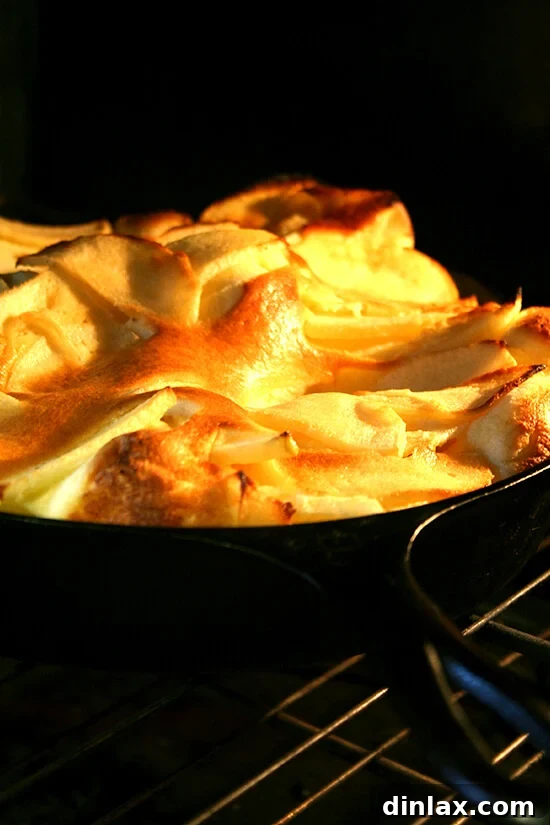 big apple pancake in oven Big apple pancake baking in the oven, showing its impressive puff.