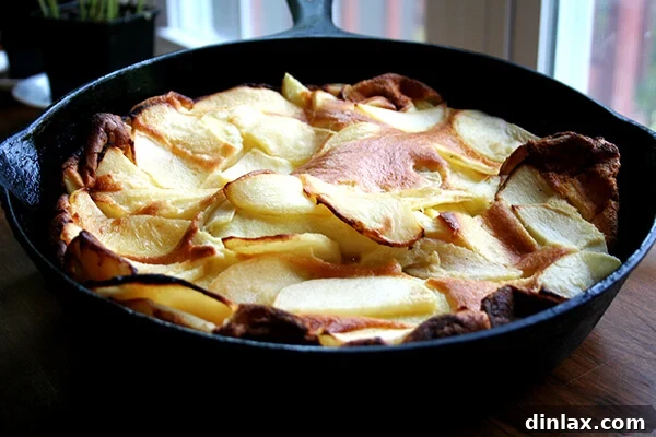 big apple pancake, just baked Freshly baked big apple pancake, slightly deflated but still magnificent.