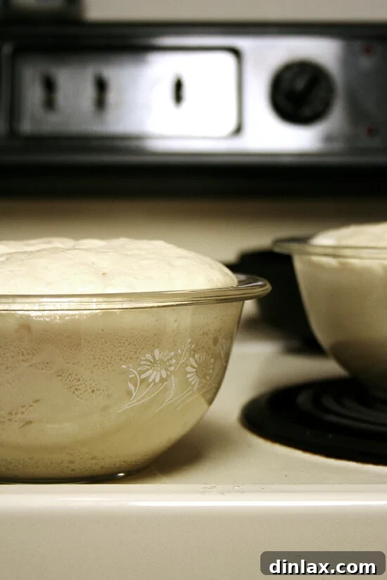 Side view of dough in glass oven-safe baking bowls on top of oven