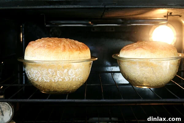 Two loaves of peasant bread baking in oven-safe glass bowls