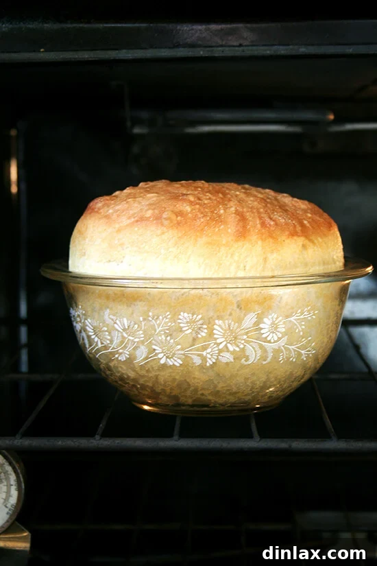 Side view close-up of peasant bread baking in oven