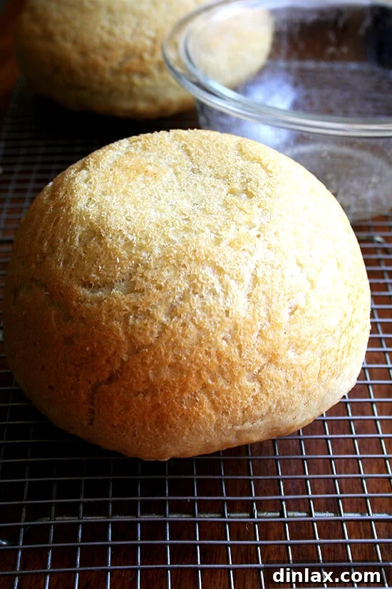 Freshly baked peasant bread turned onto cooling rack