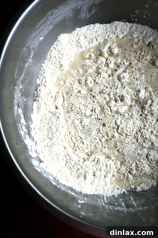 Overhead view of unmixed dough in mixing bowl