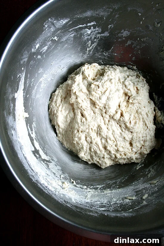Overhead view of just-mixed dough in metal mixing bowl