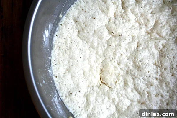 Overhead view of dough, risen