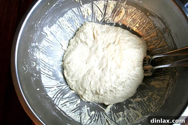 Overhead view of dough, punched down