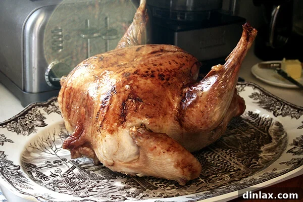 The impressive steam-roasted turkey, beautifully browned and carved, ready to be served at the Thanksgiving table.