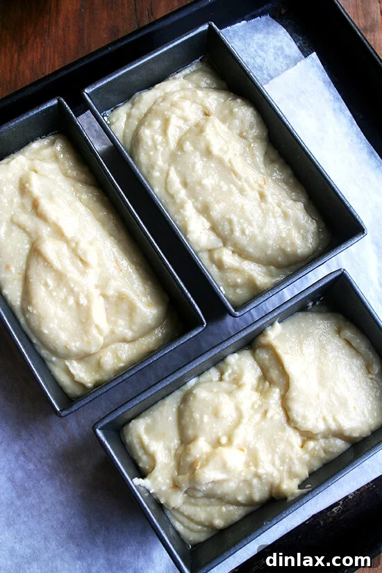 Several mini loaf pans filled with orange-ricotta cake batter, lined up and ready to enter a preheated oven.
