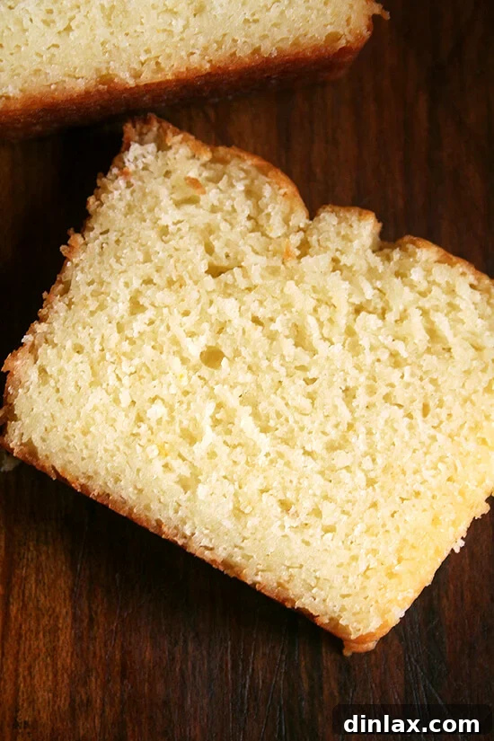 A generous slice of orange-ricotta cake, revealing its moist, tender interior and rich texture, ready to be enjoyed.