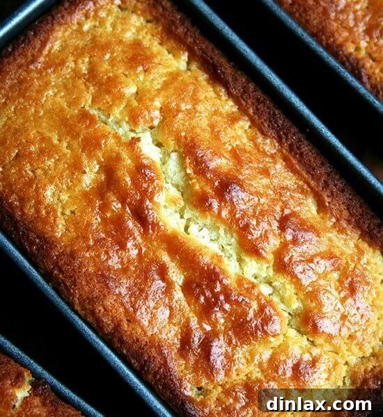 An overhead shot of a mini loaf pan filled with just-baked orange-ricotta pound cake, golden and inviting.
