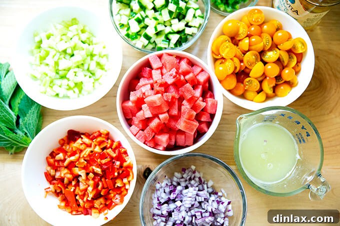 Fresh ingredients laid out on a clean countertop, ready for making watermelon gazpacho: watermelon, cucumber, bell pepper, tomatoes, jalapeno, celery, red onion, lime, and mint.
