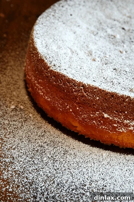 Truly, this almond torte, made entirely in the food processor, is one of the simplest and most delicious desserts you could ever prepare. It's definitely for almond/marzipan lovers and tastes better with each passing day, so don't be afraid to make it a day or two in advance if you're preparing for a holiday gathering. // alexandracooks.com A generous slice of Chez Panisse almond torte, beautifully dusted with powdered sugar, showcasing its delicate texture.