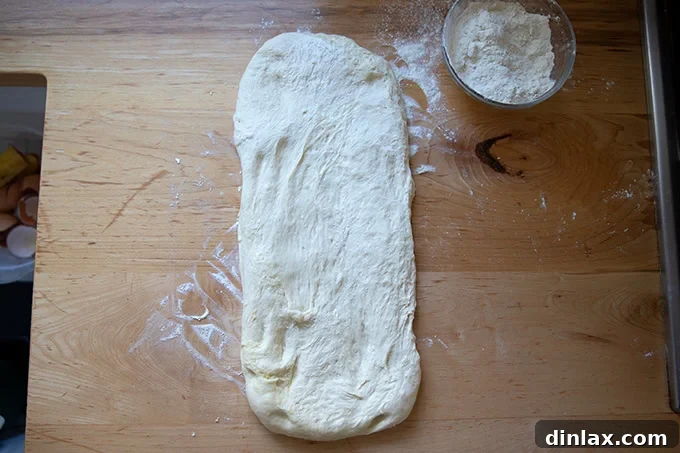 Pillowy Soft No Knead Sandwich Loaf 14 Stretched out sandwich bread dough on a floured work surface, ready to be tightly coiled for baking.