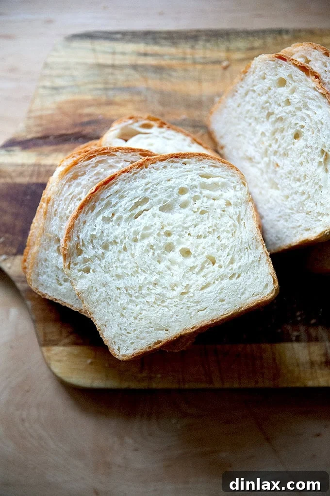 Pillowy Soft No Knead Sandwich Loaf 23 A single, inviting slice of soft sandwich bread, ready for your favorite toppings.