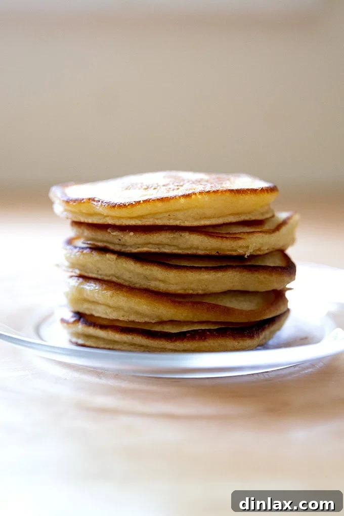 Quick Light and Fluffy Sourdough Discard Pancakes 15 A stack of sourdough discard pancakes on a plate.
