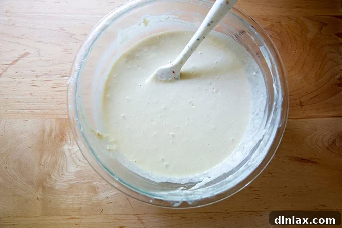 Quick Light and Fluffy Sourdough Discard Pancakes 9 Sourdough discard pancake batter all mixed together.