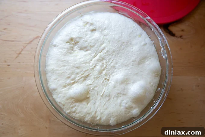 A large bowl showcasing perfectly risen sourdough discard toasting bread dough, having doubled in volume and ready for shaping.