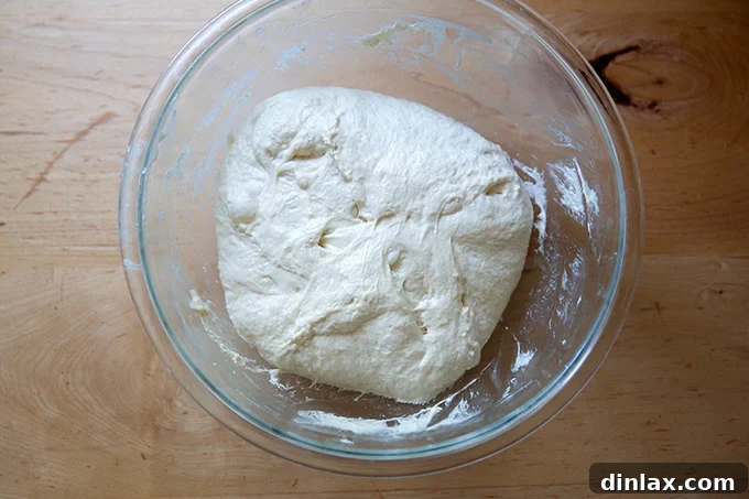 Sourdough discard toasting bread dough, deflated after its initial rise, still soft and pliable in the bowl.