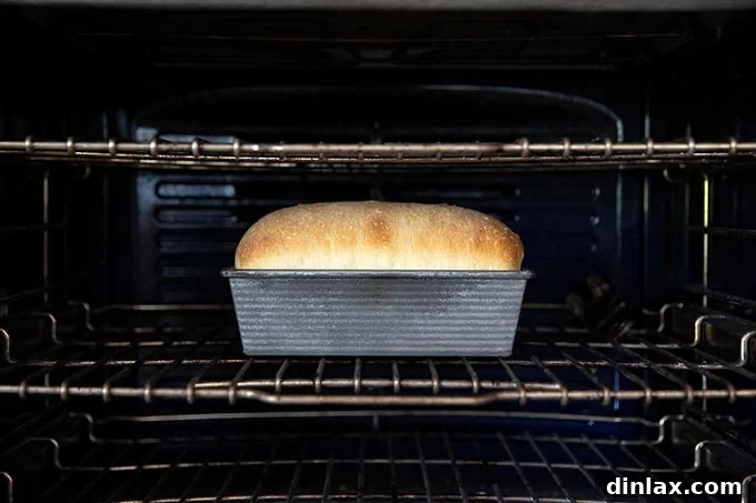 A golden-brown loaf of sourdough discard toasting bread, perfectly baking inside a hot oven, filling the kitchen with its inviting aroma.