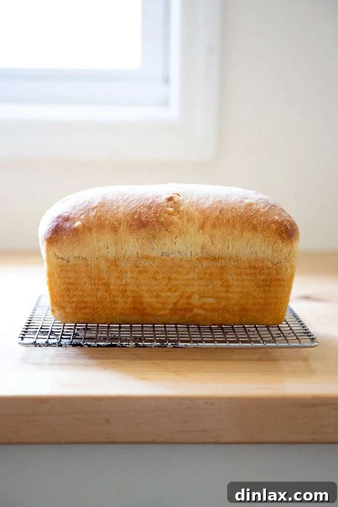 A freshly baked loaf of sourdough discard toasting bread, removed from its pan and cooling gracefully on a wire rack.