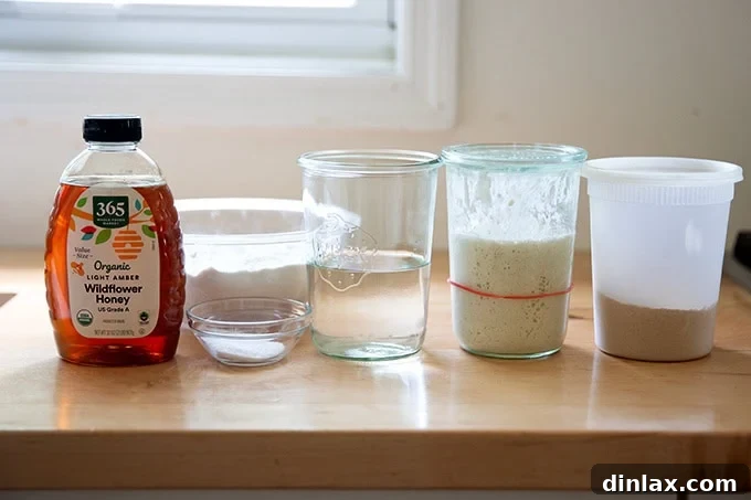 All the essential ingredients for sourdough discard toasting bread – honey, salt, water, sourdough discard, yeast, and flour – neatly arranged on a clean countertop.