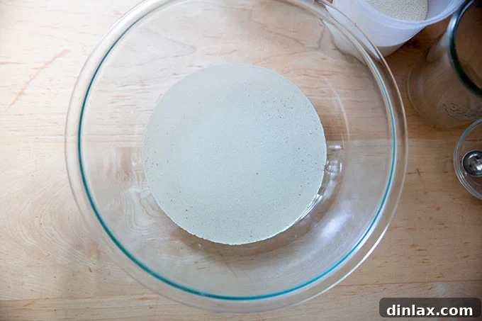 A large mixing bowl containing water, salt, honey, and yeast, waiting to be combined.