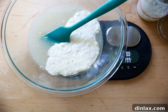 A bowl on a scale, precisely showing 199 grams of sourdough discard added to the water, yeast, salt, and honey mixture.