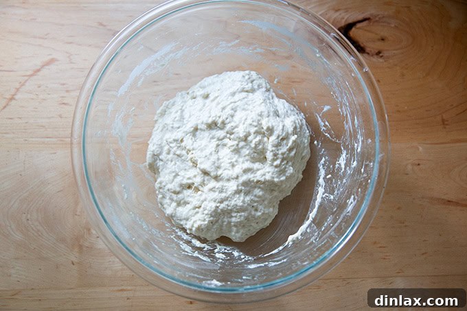 The just-mixed sourdough discard toasting bread dough, appearing wet and sticky, resting in a large bowl.