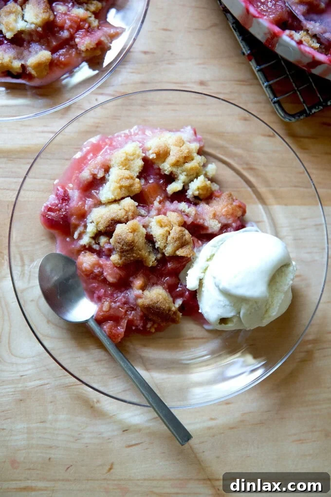 A plate featuring a warm slice of strawberry-rhubarb crisp served elegantly next to a scoop of melting vanilla ice cream.