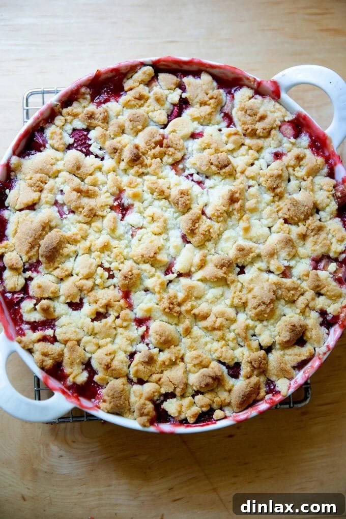 Just baked strawberry-rhubarb crisp, glistening with fruit juices and a rich golden crust.