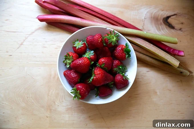 A bowl of vibrant red strawberries nestled beside a few fresh green and pink rhubarb stalks.