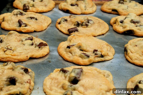The Black Prince Tomato and Chocolate Chip Cookie Paradox 3 Up-close image of a perfectly baked chocolate chip cookie