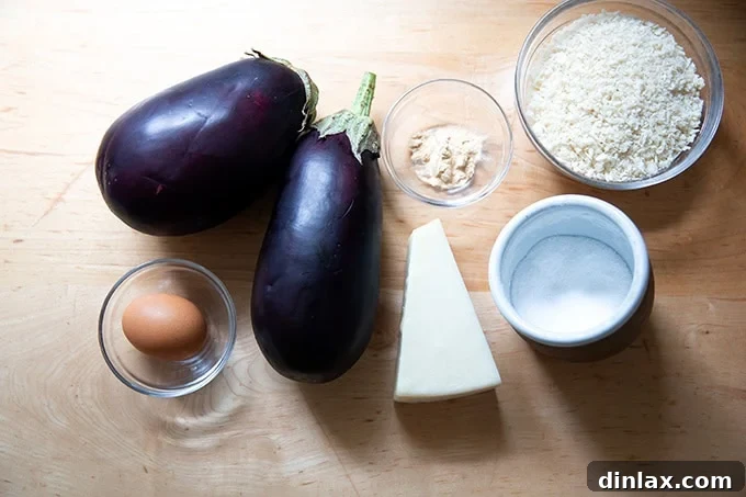 Smoky Eggplant Vegan Meatballs 3 The ingredients to make eggplant meatballs on a countertop.