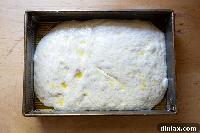 Effortless Cinnamon Sugar Focaccia 12 Focaccia dough in the pan after 1.5 hours of room temperature rising, showing increased volume and bubble formation.