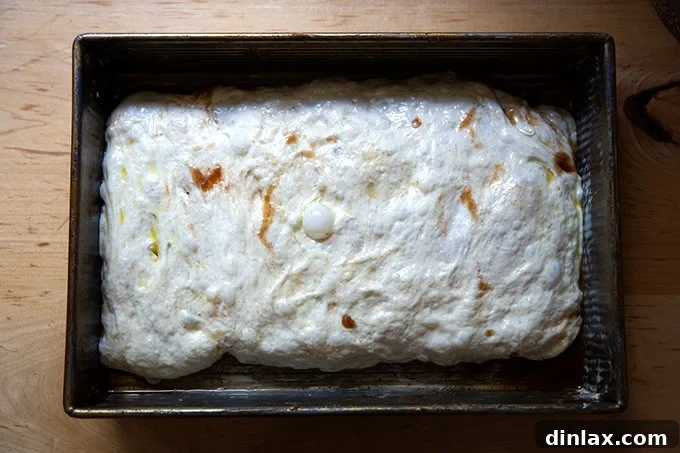 Effortless Cinnamon Sugar Focaccia 17 Cinnamon-sugar focaccia dough after being folded in an envelope style within the pan, showing layers.