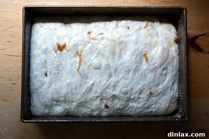 Effortless Cinnamon Sugar Focaccia 18 A 9x13-inch pan holding cinnamon-sugar focaccia dough after its second proof, looking puffed and ready for the oven.
