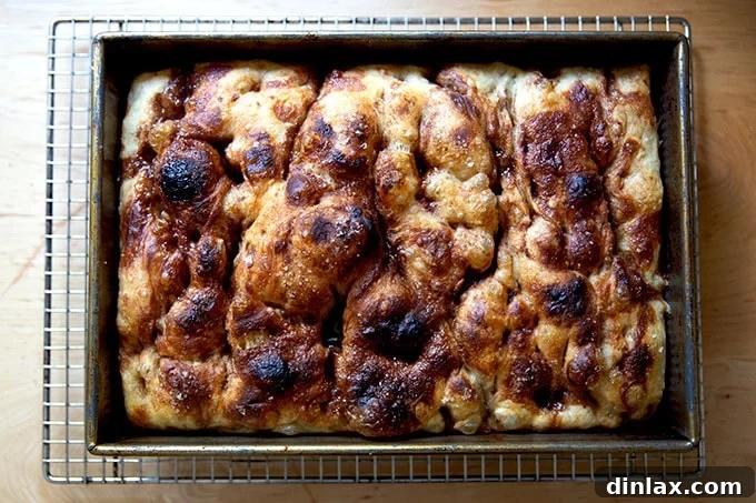 Effortless Cinnamon Sugar Focaccia 21 Freshly baked cinnamon-sugar focaccia in its 9x13-inch pan, cooling on a rack, showing a beautiful golden-brown crust.