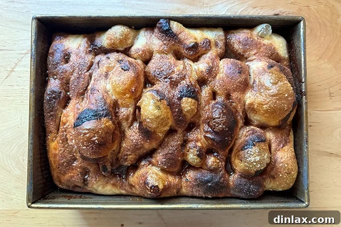 Effortless Cinnamon Sugar Focaccia 30 Freshly baked cinnamon-sugar focaccia, golden brown and bubbly, just out of the oven after following the make-ahead method.