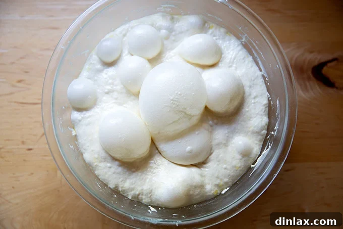 Effortless Cinnamon Sugar Focaccia 8 Fully fermented focaccia dough after two days of cold proofing in the refrigerator, showing a bubbly, expanded texture.