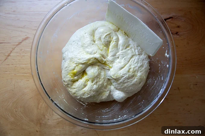 Effortless Cinnamon Sugar Focaccia 9 The focaccia dough gently deflated with a bench scraper after its cold proof, ready for transfer to the pan.