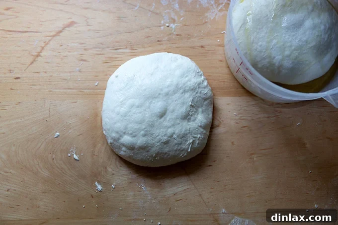 A perfectly balled-up portion of Grandma-style pizza dough, resting on a floured countertop, showcasing its ready-to-store form.