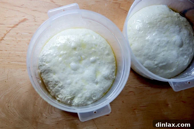 Two clear two-quart dough storage containers, each holding a perfectly rounded ball of Grandma-style pizza dough, lightly oiled and ready for refrigeration.